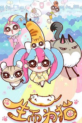 江苏引擎优化seo